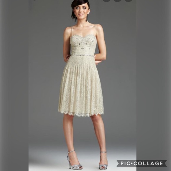 Mignon lace overlay cocktail dress - Picture 2 of 12